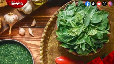 استعدادات رمضان.. طريقة سهلة لتخزين الملوخية