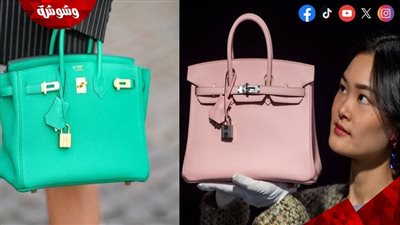 مثيرة للاشمئزاز.. علامة هيرميس تنتقد حقيبة وول مارك