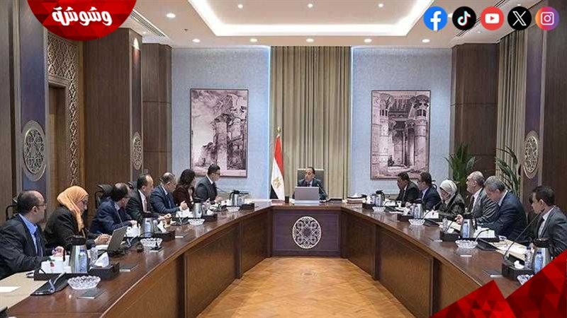 مجلس الوزراء 