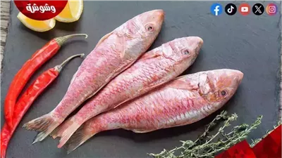 تعرف على أسعار الأسماك فى الأسواق اليوم السبت