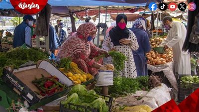 كل ما يخص أسواق اليوم الواحد فى محافظة القاهرة.. اعرف التفاصيل