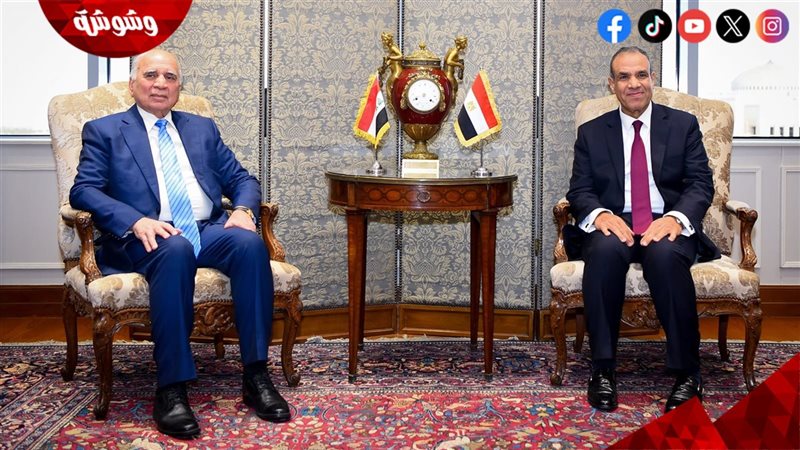 الدكتور بدر عبد العاطي