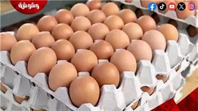 أسعار البيض فى الأسواق‎‎ اليوم الأربعاء 5/3/2025