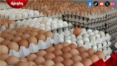 أسعار البيض فى الأسواق‎‎ اليوم الخميس 6/3/2025