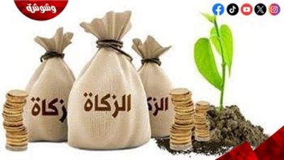 طرق توزيع الصدقات وزكاة الفطر 