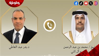 تفاصيل الاتصال بين وزير الخارجية والهجرة ونظيره القطري‎
