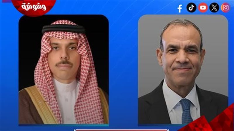 ارشيفية