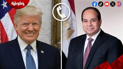 اتصال هاتفي بين السيسي وترامب لبحث الشراكة الاستراتيجية وتهدئة أزمات المنطقة‎