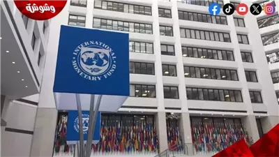 مدبولي يلتقي عضو مجلس المديرين التنفيذيين لصندوق النقد الدولي