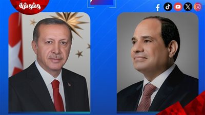 تفاصيل الاتصال الهاتفي بين عبد الفتاح السيسي ورجب طيب أردوغان