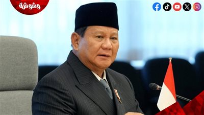 الرئيس الإندونيسي يشيد بالمؤسسات العسكرية المصرية ويبحث تعزيز التعاون ‎