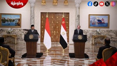 خبير علاقات دولية: زيارة الرئيس الإندونيسي إلى مصر تحظى بأهمية كبيرة في ظل التغيرات الدولية