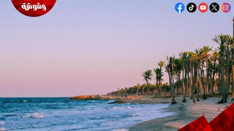 مدينة العريش