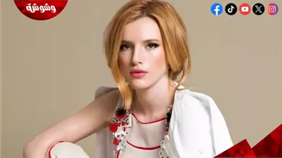 ماذا قال ميكي رورك عن إساءته الجسدية لـ بيلا ثورن؟