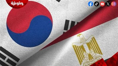 مصر وكوريا يحتفلان بمرور 30 عامًا على تدشين العلاقات الدبلوماسية بين البلدين‎
