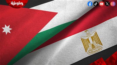 خبير سياسات دولية: مصر والأردن صف واحد في دعم القضية الفلسطينية.. والتهجير لم ولن يُقبل