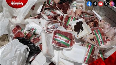 ضبط أكثر من 10 أطنان أغذية فاسدة في القاهرة قبل شم النسيم‎ 