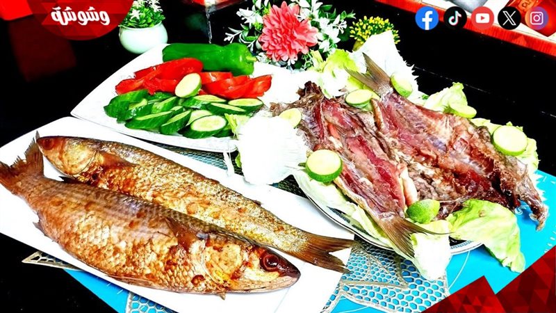 ارشيفية