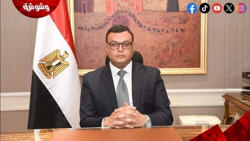المهندس شريف الشربيني