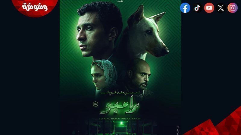 فيلم البحث عن السيد