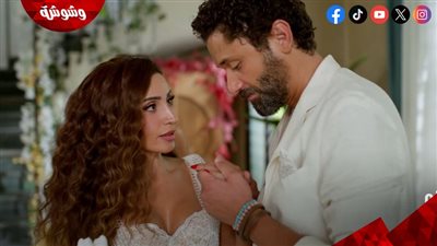 آخرها قصتها مع كريم محمود عبدالعزيز.. شائعات الارتباط تطارد دينا الشربيني 