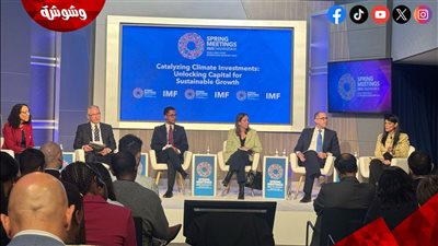 رانيا المشاط: مصر قطعت شوطًا كبيرًا في التحول للاقتصاد الأخضر وتعزيز الاستثمارات المناخية‎