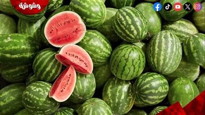 رئيس شعبة الخضر والفاكهة: لا تشتروا البطيخ الآن.. الأسعار نار والمذاق بلا فائدة‎