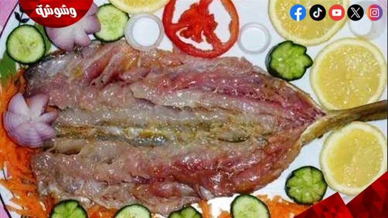 أرشيفية