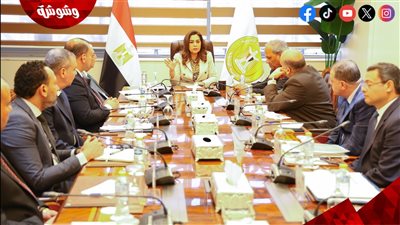 وزيرة التنمية المحلية تتابع تنفيذ مشروعات الخطة الاستثمارية‎ 
