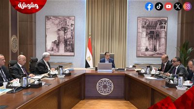رئيس الوزراء يستعرض تحديات الجامعة العمالية ومسارات تطويرها‎
