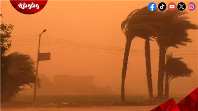 أخصائية تحذر: العاصفة الترابية تؤثر على العين والجلد والجيوب الأنفية.. وهذه أهم النصائح للتعامل معها‎