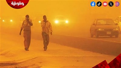 البيئة تحذر: رياح مثيرة للأتربة تضرب البلاد غدًا.. وتحسن تدريجي الأحد