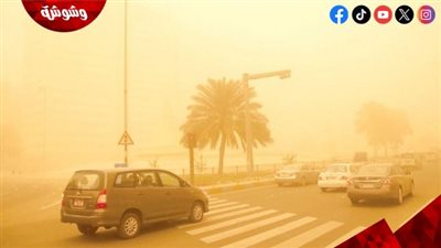 في العاصفة.. طرق لحماية طفلك من الأتربة 