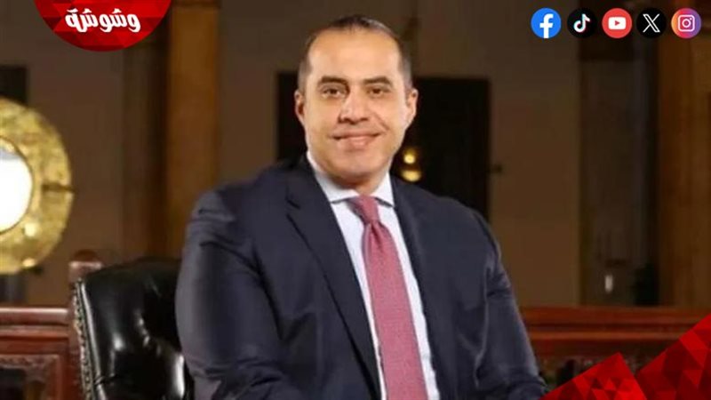 المستشار محمود فوزي