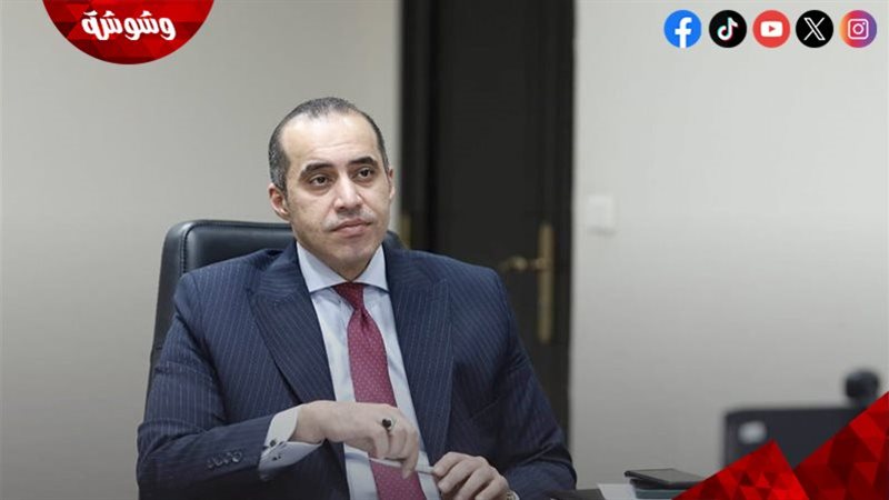 المستشار محمود فوزي