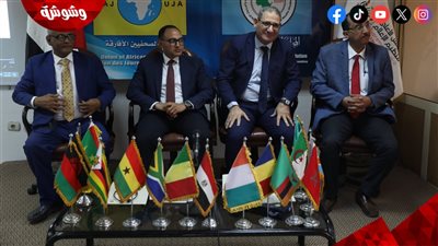 ختام دورة الصحفيين الأفارقة بالقاهرة: تدريب وتعاون بين الأعلى للإعلام و14 دولة أفريقية‎