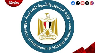 البترول ترد على شكاوى البنزين: آمن ومطابق للمواصفات المصرية‎