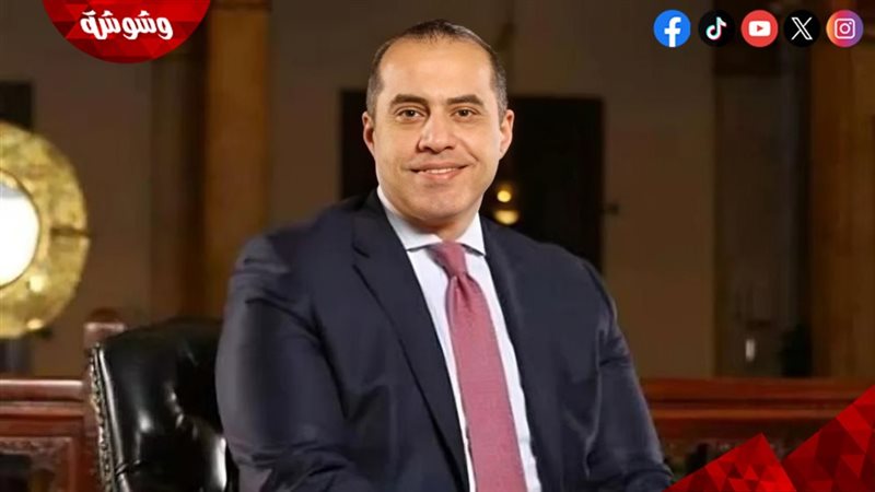 المستشار محمود فوزي