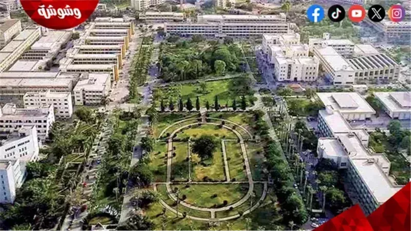جامعة المنصورة