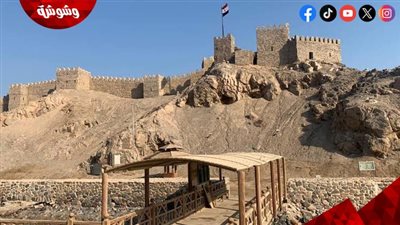 تعود للعصر اليوناني.. خبير أثري يروي تفاصيل اكتشاف قلاع حربية جديدة في سيناء 