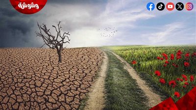 خبير مناخي: موجة الحر الحالية تفوق قدرة النباتات وتؤثر على إنتاجيتها‎