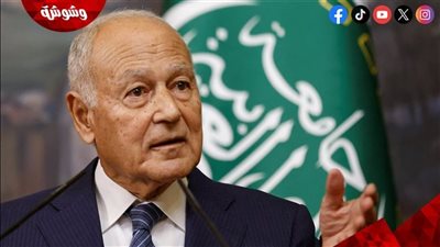 أحمد أبو الغيط: العالم العربي يمر بأصعب فتراته منذ قرن