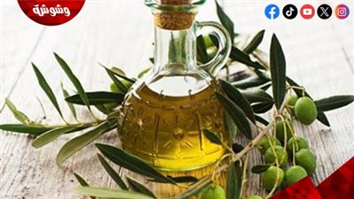 زيت الزيتون.. سر الصحة في ملعقة يومية