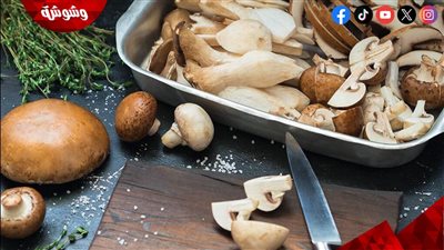 فوائد المشروم للمرأة الحامل