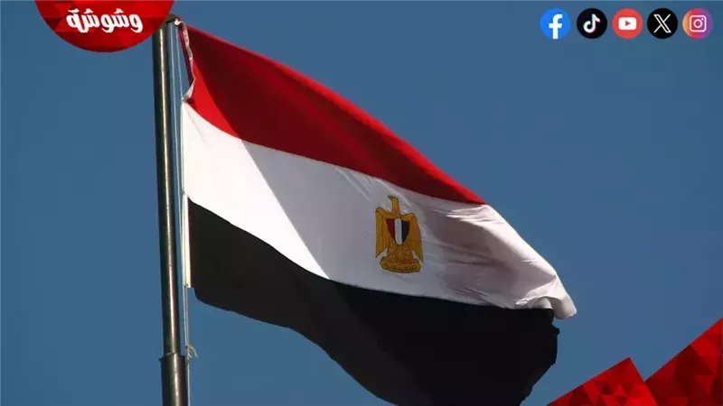 ارشيفية