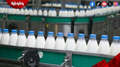 متحدث الحكومة: إلغاء شهادة 