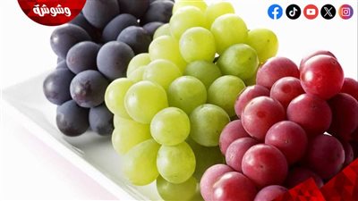 فاكهة الصيف.. تعرف على الفرق بين العنب الأخضر والأحمر