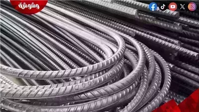 أسعار الحديد اليوم الخميس 29/5/2025