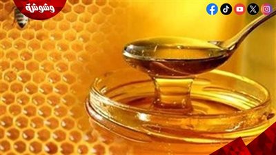 حيل بسيطة لاكتشاف العسل المغشوش في المنزل.. اعرفها 