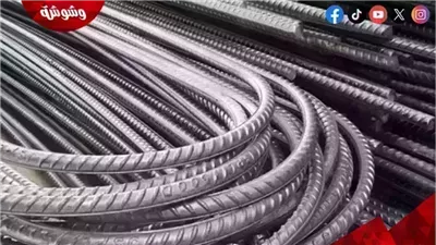 أسعار الحديد اليوم السبت 31/5/2025